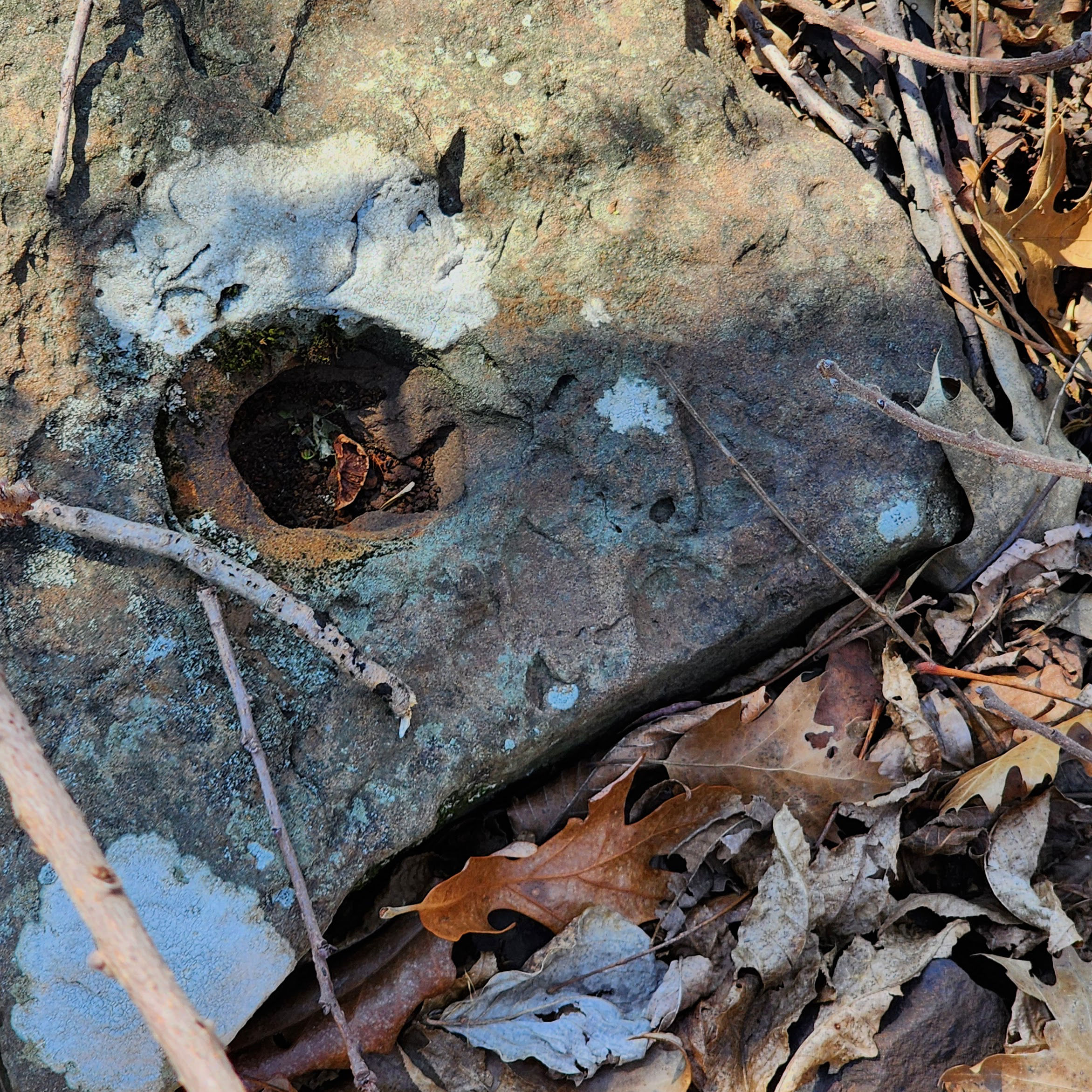 Grasses in the water